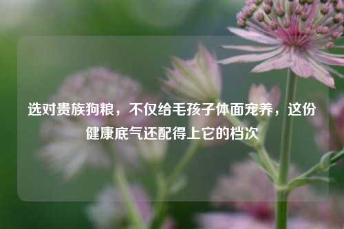 选对贵族狗粮,不仅给毛孩子体面宠养,这份健康底气还配得上它的档次
