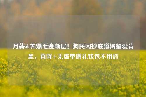 月薪5k养爆毛金渐层！狗民网抄底蹲渴望爱肯拿，直降+无虚单赠礼钱包不用愁