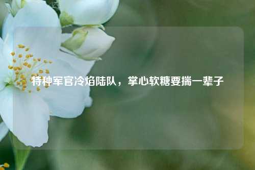 特种军官冷焰陆队，掌心软糖要揣一辈子
