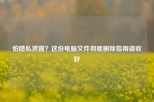 怕隐私泄露？这份电脑文件彻底删除指南请收好