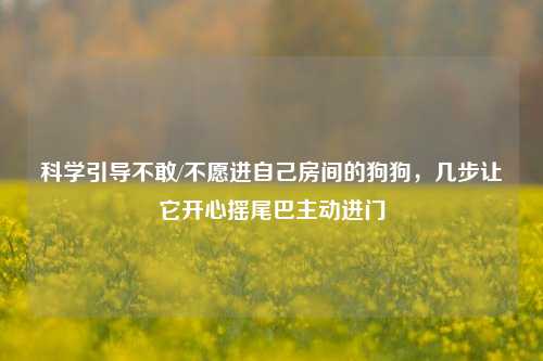 详细阅读:科学引导不敢/不愿进自己房间的狗狗,几步让它开心摇尾巴主动进门 科学引导不敢/不愿进自己房间的狗狗,几步让它开心摇尾巴主动进门