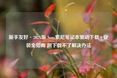 详细阅读:新手友好·202X版 Sony索尼笔记本驱动下载+安装全指南 附下载不了解决办法 新手友好·202X版 Sony索尼笔记本驱动下载+安装全指南 附下载不了解决办法