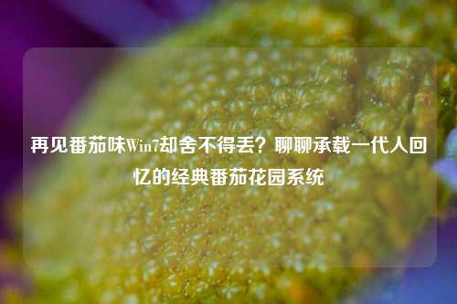 再见番茄味Win7却舍不得丢？聊聊承载一代人回忆的经典番茄花园系统