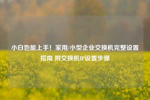 小白也能上手！家用/小型企业交换机完整设置指南 附交换机IP设置步骤