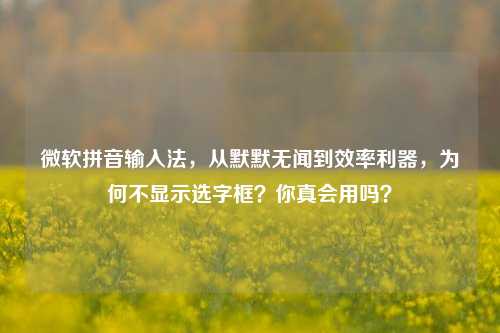 详细阅读:微软拼音输入法,从默默无闻到效率利器,为何不显示选字框?你真会用吗? 微软拼音输入法,从默默无闻到效率利器,为何不显示选字框?你真会用吗?