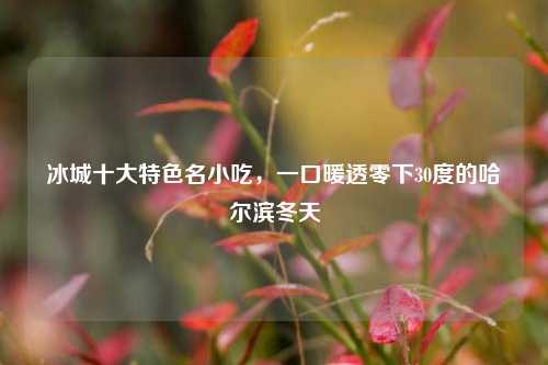 冰城十大特色名小吃,一口暖透零下30度的哈尔滨冬天