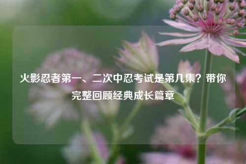 火影忍者第一、二次中忍考试是第几集？带你完整回顾经典成长篇章