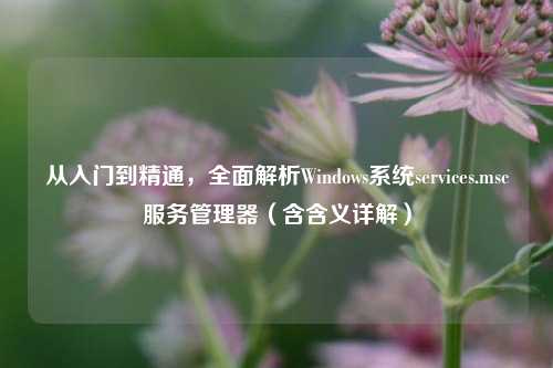 从入门到精通,全面解析Windows系统services.msc服务管理器(含含义详解)