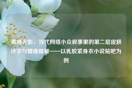 裹缚光影,当代网络小众叙事里的第二层皮肤诗学与情绪褶皱——以乳胶紧身衣小说贴吧为例