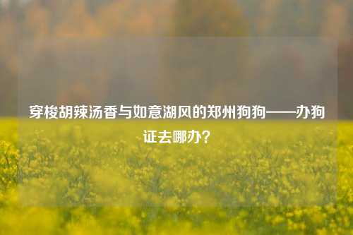 穿梭胡辣汤香与如意湖风的郑州狗狗——办狗证去哪办?