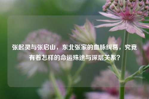 张起灵与张启山,东北张家的血脉纠葛,究竟有着怎样的命运殊途与深层关系?