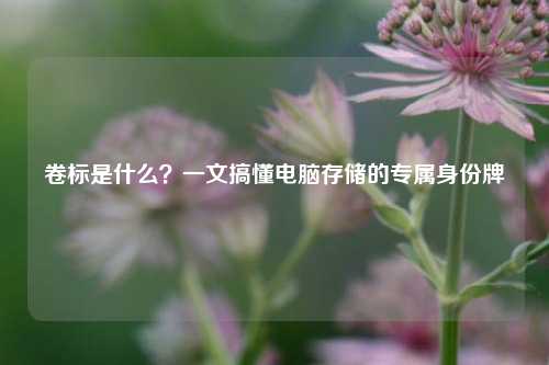 卷标是什么?一文搞懂电脑存储的专属身份牌