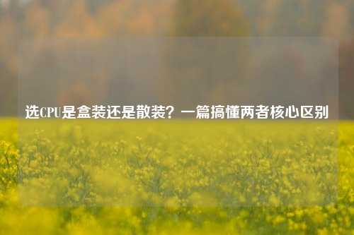 选CPU是盒装还是散装?一篇搞懂两者核心区别