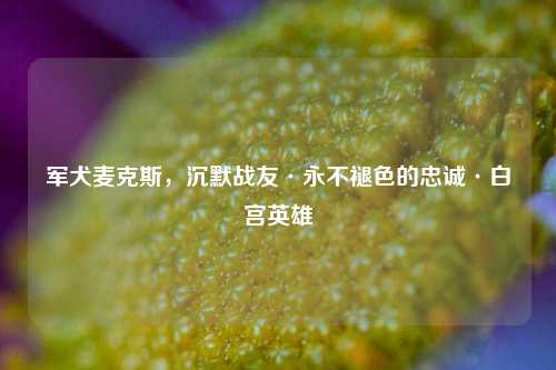 军犬麦克斯,沉默战友·永不褪色的忠诚·白宫英雄