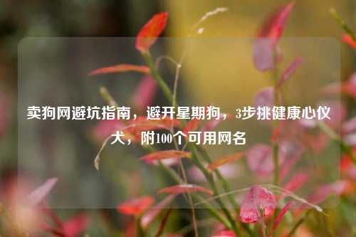 卖狗网避坑指南,避开星期狗,3步挑健康心仪犬,附100个可用网名