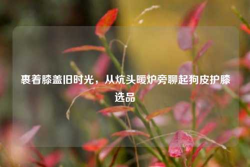 裹着膝盖旧时光,从炕头暖炉旁聊起狗皮护膝选品