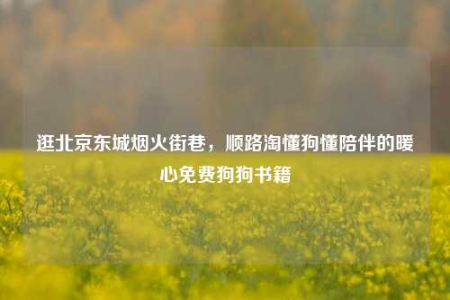 逛北京东城烟火街巷,顺路淘懂狗懂陪伴的暖心免费狗狗书籍