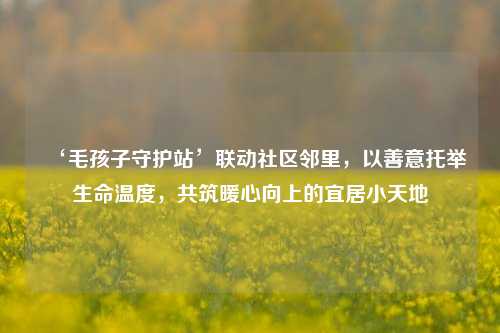‘毛孩子守护站’联动社区邻里,以善意托举生命温度,共筑暖心向上的宜居小天地