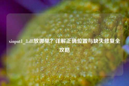 xinput1_3.dll放哪里?详解正确位置与缺失修复全攻略