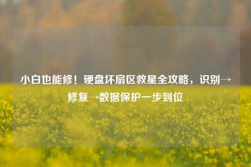 小白也能修!硬盘坏扇区救星全攻略,识别→修复→数据保护一步到位