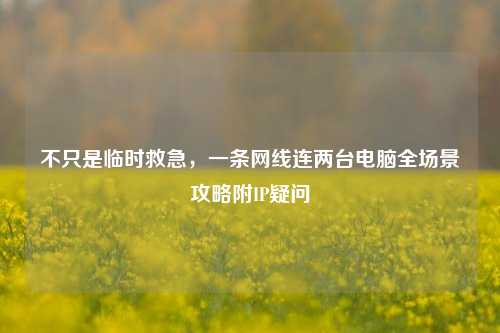 不只是临时救急,一条网线连两台电脑全场景攻略附IP疑问