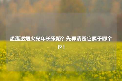 想逛透烟火光年长乐路?先弄清楚它属于哪个区!