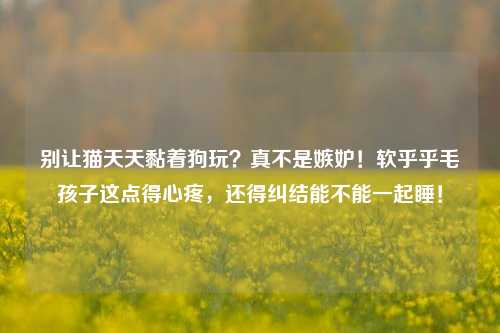 别让猫天天黏着狗玩?真不是嫉妒!软乎乎毛孩子这点得心疼,还得纠结能不能一起睡!