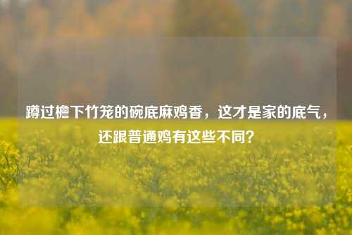 蹲过檐下竹笼的碗底麻鸡香,这才是家的底气,还跟普通鸡有这些不同?