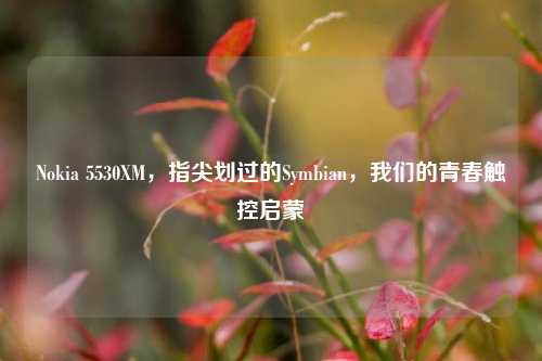 Nokia 5530XM,指尖划过的Symbian,我们的青春触控启蒙