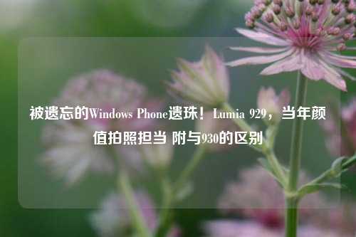 被遗忘的Windows Phone遗珠!Lumia 929,当年颜值拍照担当 附与930的区别