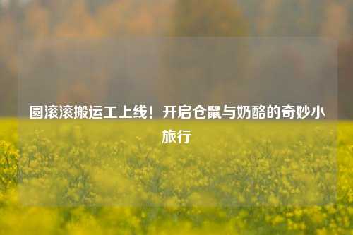 圆滚滚搬运工上线!开启仓鼠与奶酪的奇妙小旅行