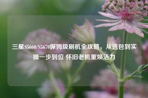 三星S5660/S5670保姆级刷机全攻略,从选包到实操一步到位 怀旧老机重焕活力