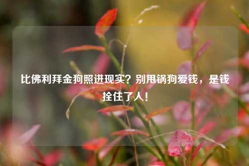比佛利拜金狗照进现实?别甩锅狗爱钱,是钱拴住了人!