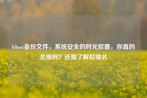 Ghost备份文件,系统安全的时光胶囊,你真的会用吗?还需了解后缀名