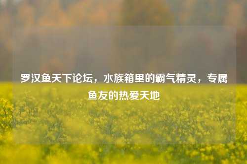 罗汉鱼天下论坛,水族箱里的霸气精灵,专属鱼友的热爱天地