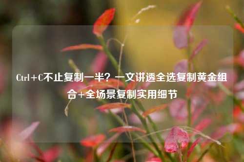 Ctrl+C不止复制一半?一文讲透全选复制黄金组合+全场景复制实用细节