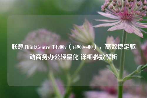 联想ThinkCentre T4900v(t4900v-00),高效稳定驱动商务办公轻量化 详细参数解析