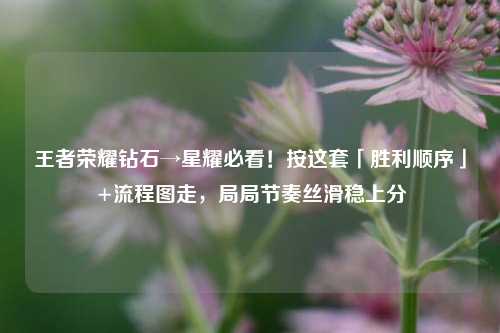 王者荣耀钻石→星耀必看!按这套「胜利顺序」+流程图走,局局节奏丝滑稳上分