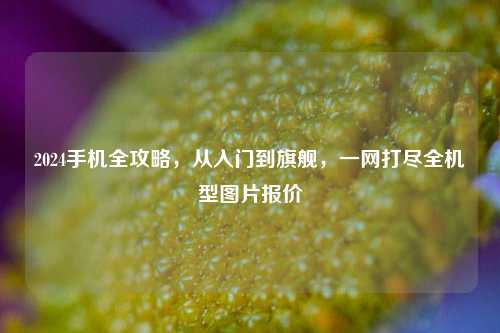 2024手机全攻略,从入门到旗舰,一网打尽全机型图片报价