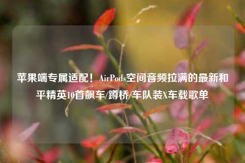 苹果端专属适配！AirPods空间音频拉满的最新和平精英10首飙车/蹲桥/车队装X车载歌单