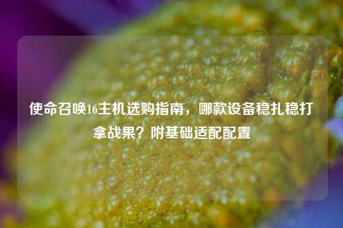 使命召唤16主机选购指南,哪款设备稳扎稳打拿战果?附基础适配配置