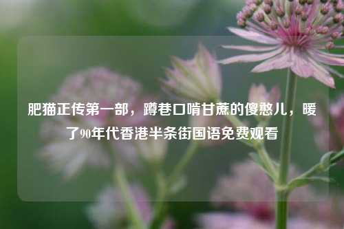 肥猫正传第一部,蹲巷口啃甘蔗的傻憨儿,暖了90年代香港半条街国语免费观看
