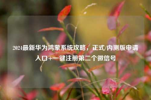 2024最新华为鸿蒙系统攻略，正式/内测版申请入口+一键注册第二个微信号