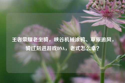 王者荣耀老坐骑,峡谷机械涂鸦、草原追风,骑过刻进游戏DNA,老式怎么拿?