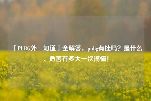 「PUBG外掛知道」全解答,pubg有挂吗?是什么、危害有多大一次搞懂!