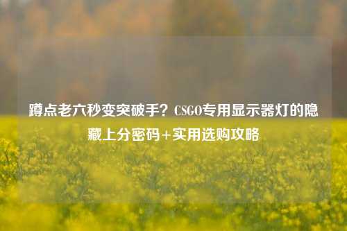 蹲点老六秒变突破手?CSGO专用显示器灯的隐藏上分密码+实用选购攻略