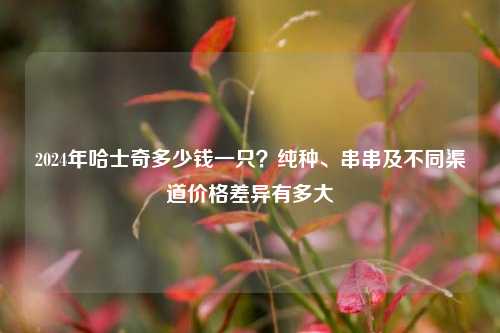 2024年哈士奇多少钱一只?纯种、串串及不同渠道价格差异有多大
