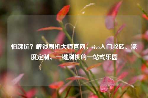 怕踩坑?解锁刷机大师官网,vivo入门救砖、深度定制、一键刷机的一站式乐园