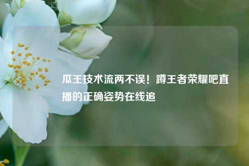 🔥瓜王技术流两不误！蹲王者荣耀吧直播的正确姿势在线追🎮