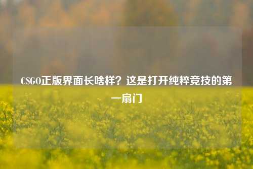 CSGO正版界面长啥样?这是打开纯粹竞技的第一扇门